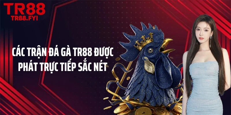 Các trận đá gà TR88 được phát trực tiếp sắc nét