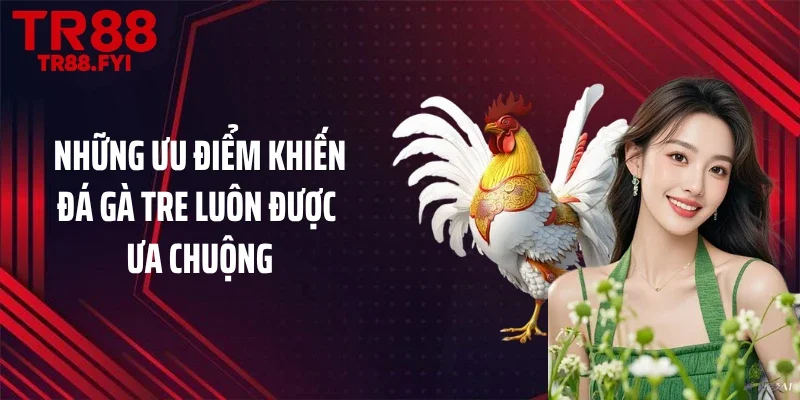 Những ưu điểm khiến đá gà tre luôn được ưa chuộng