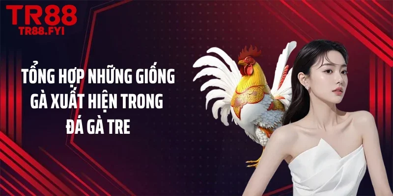 Tổng hợp những giống gà xuất hiện trong đá gà tre